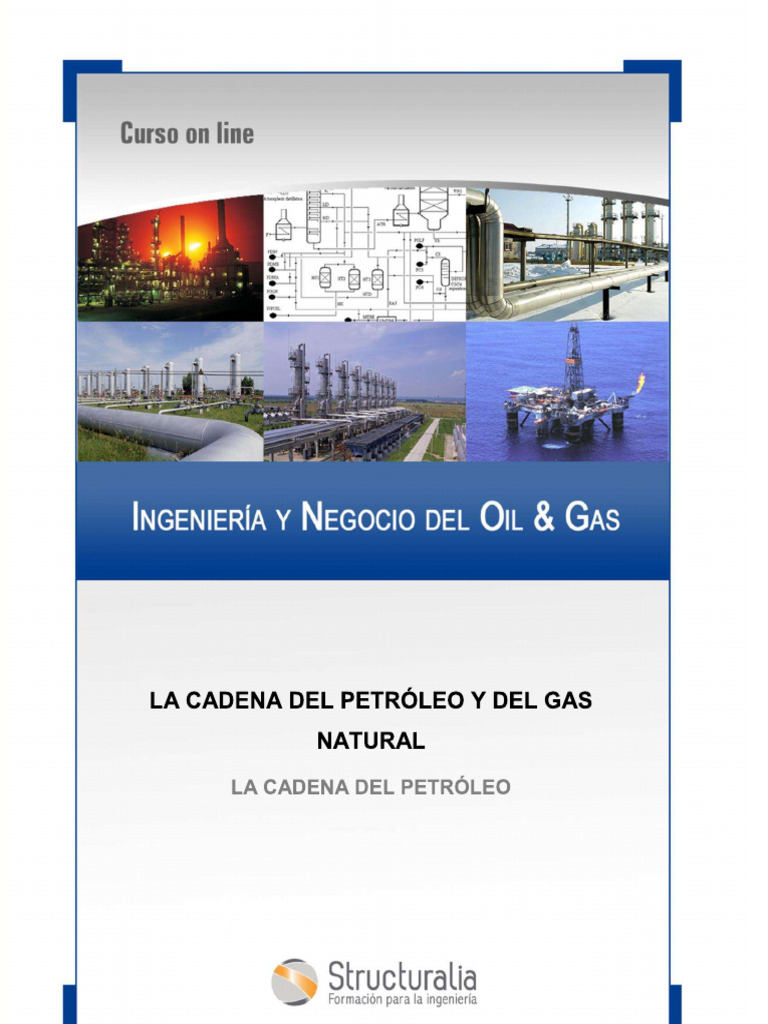 La Cadena Del Petroleo y Del Gas Natural | PDF