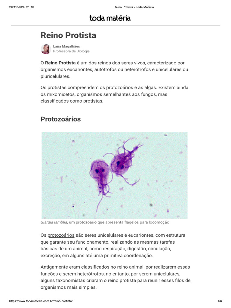 Classificação e Exemplos do Reino Protista | PDF | Algas | Protozoários