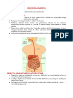 Digestino Aparatua