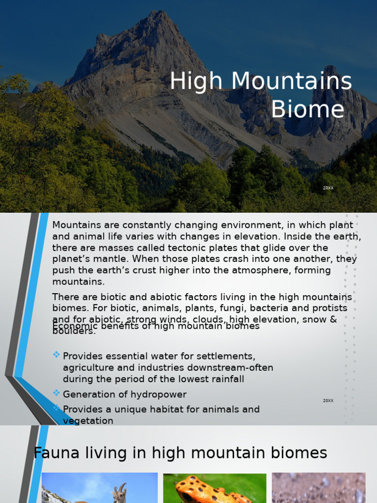 High Mountains Biome | PDF | Atmosphere Of Earth | Mountains