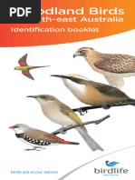 Bto Bird Species Codes | PDF