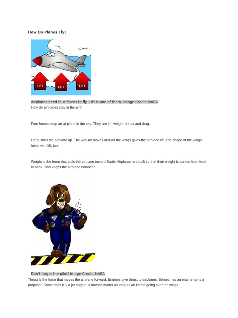 How Do Planes Fly | PDF