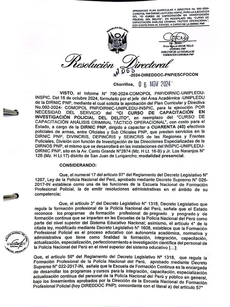 RD 1065-2024-Direddoc-Dirnic | PDF