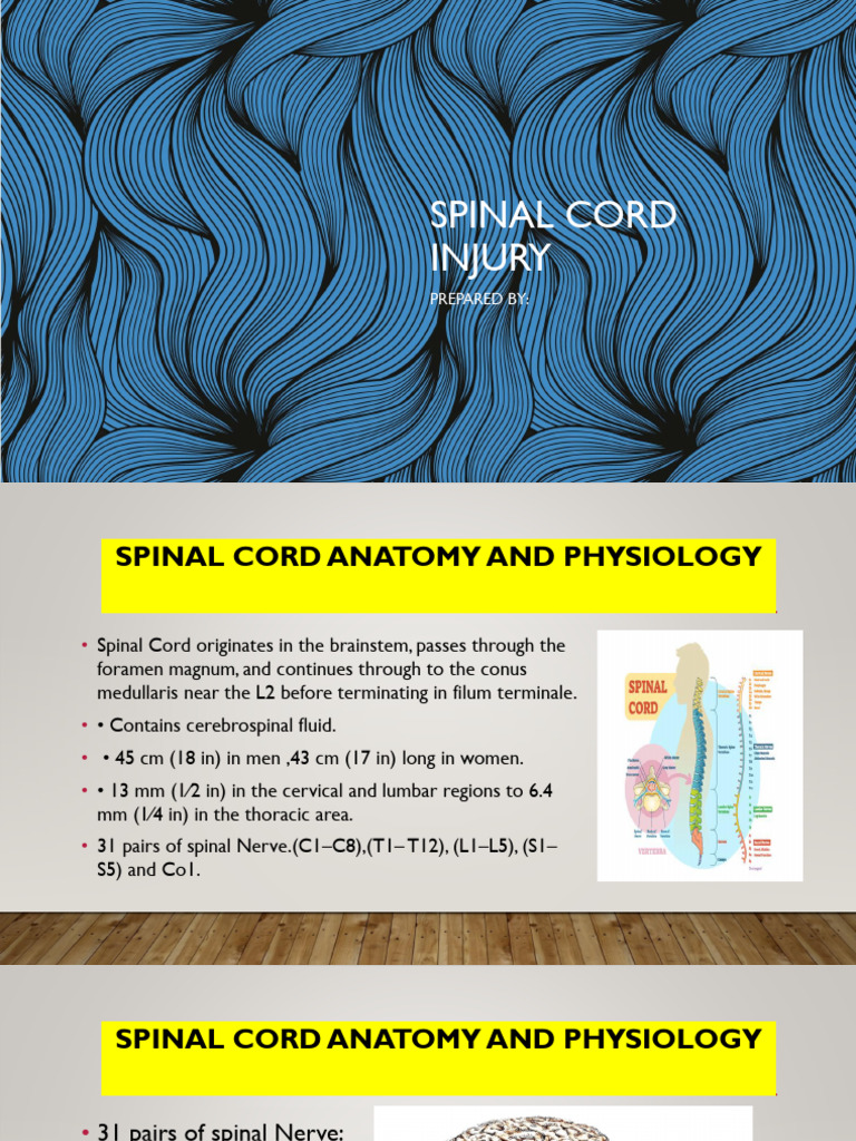 Spinal Cord Injury | PDF | Spinal Cord | Vertebral Column