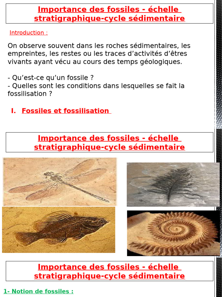 RECONSTITUTION DES PAYSAGES ANCIENS, image size:768x1024