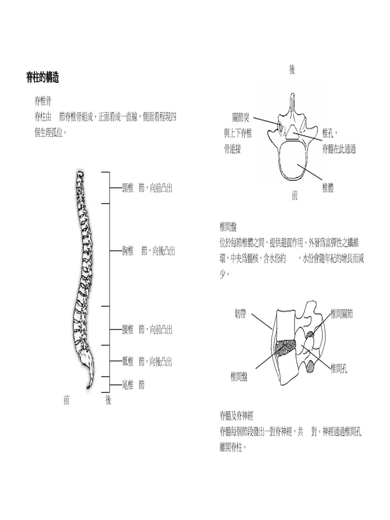 扶抱技巧及腰背護理下載 | PDF