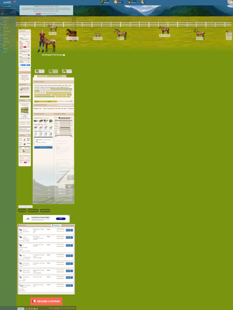 1 Horse World Online Pdf Horse Gait Horses