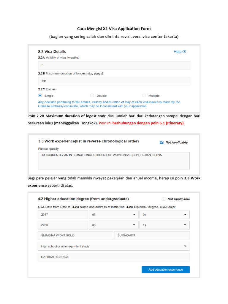 Panduan Mengisi Formulir Visa X1 China | PDF