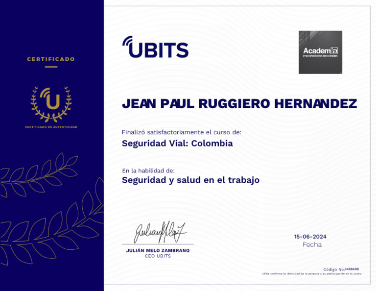 Seguridad Vial | PDF