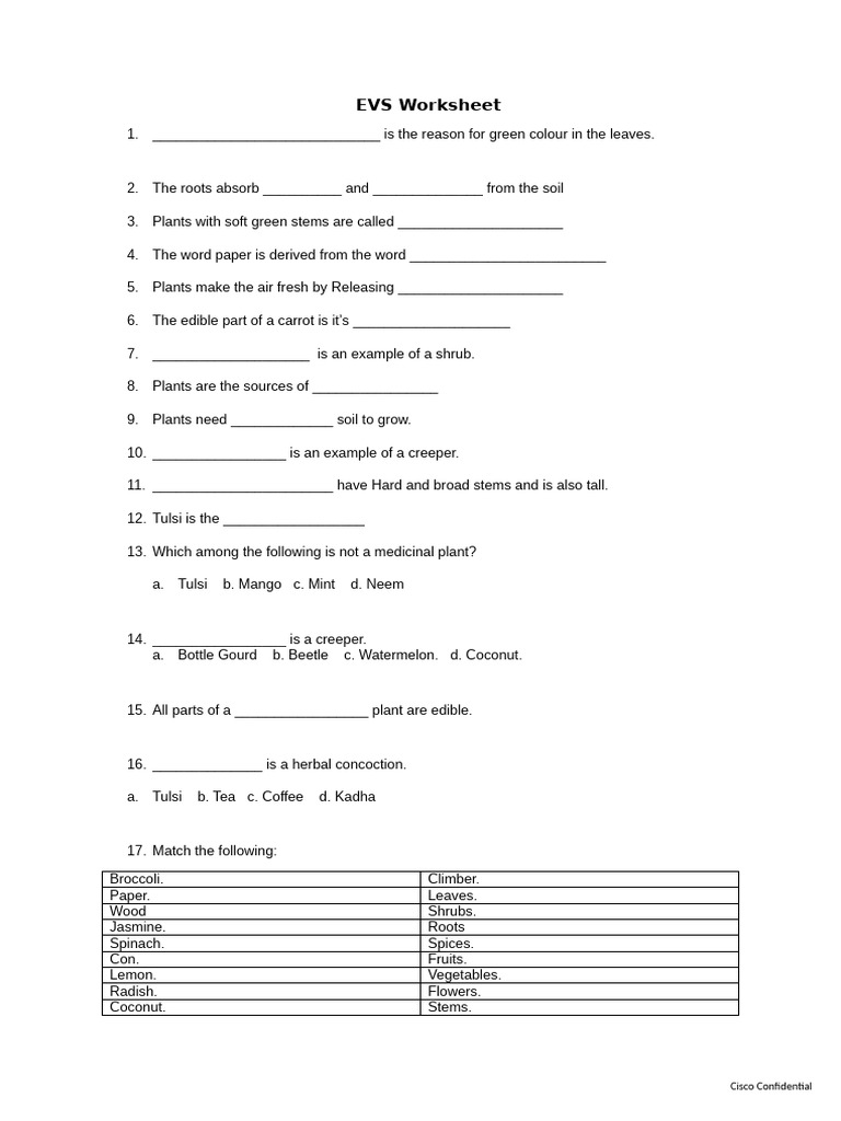 Class 3 EVS Plants Worksheet | PDF | Plants | Fruit