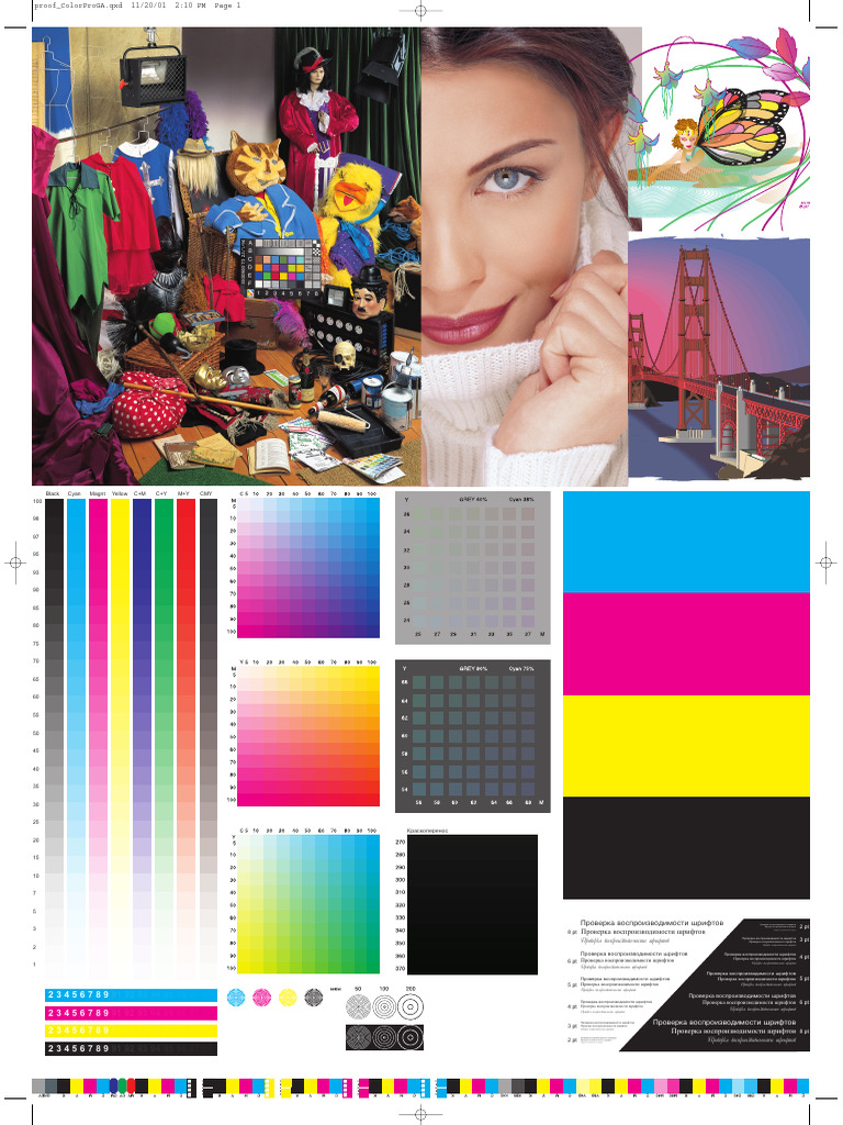 Test DP | PDF | Color | Visual Perception