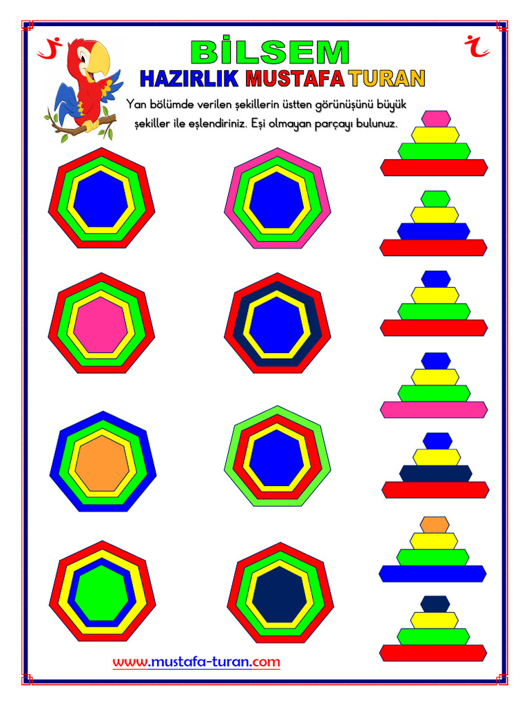 Bilsem Kus Bakisi Gorunus 8 Pdf