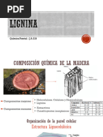 Estructura y propiedades de la lignina | PDF | Lignina | Polímeros