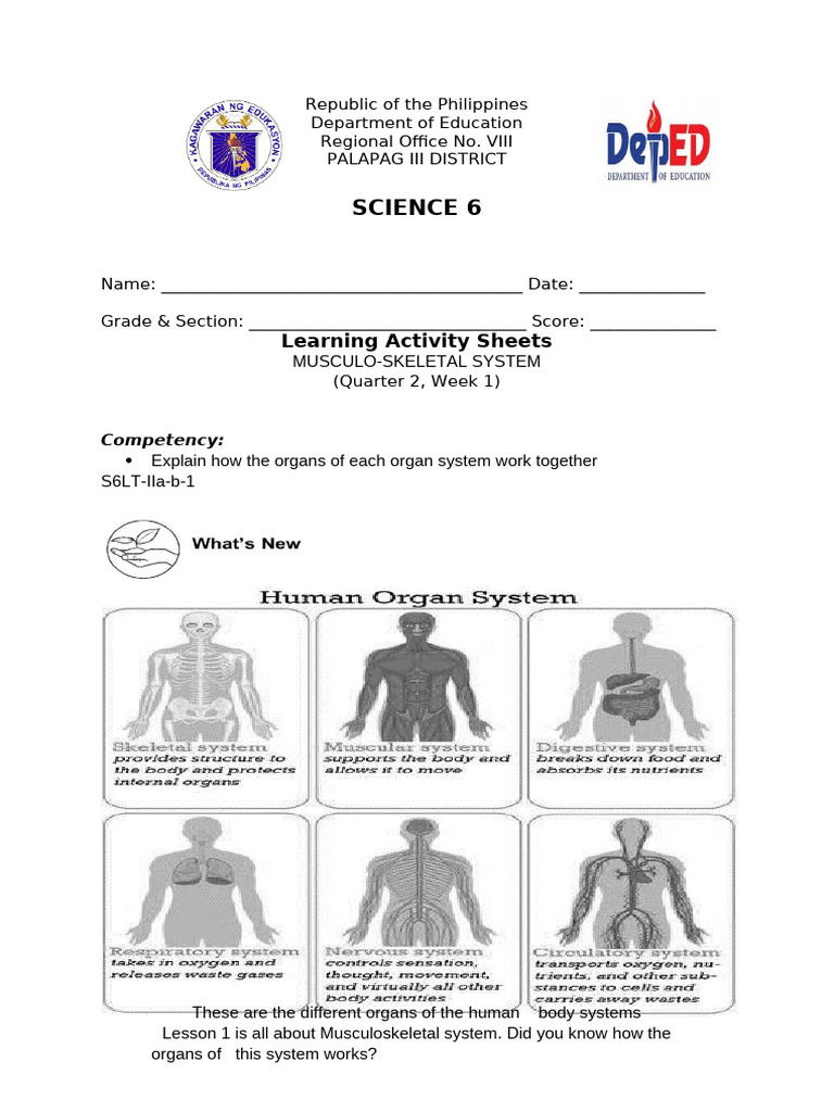 SCIENCE 6 Q2 WEEK 1 2 PDF Skin Integumentary System