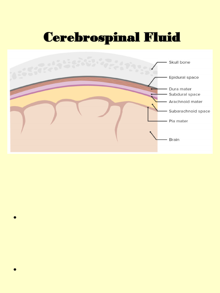 all books files | PDF | Cerebrospinal Fluid | Physiology