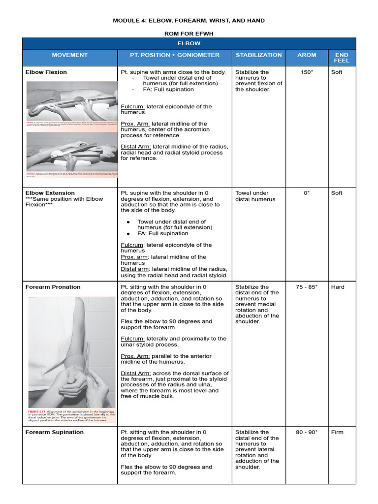 EFWH | PDF | Anatomical Terms Of Motion | Elbow