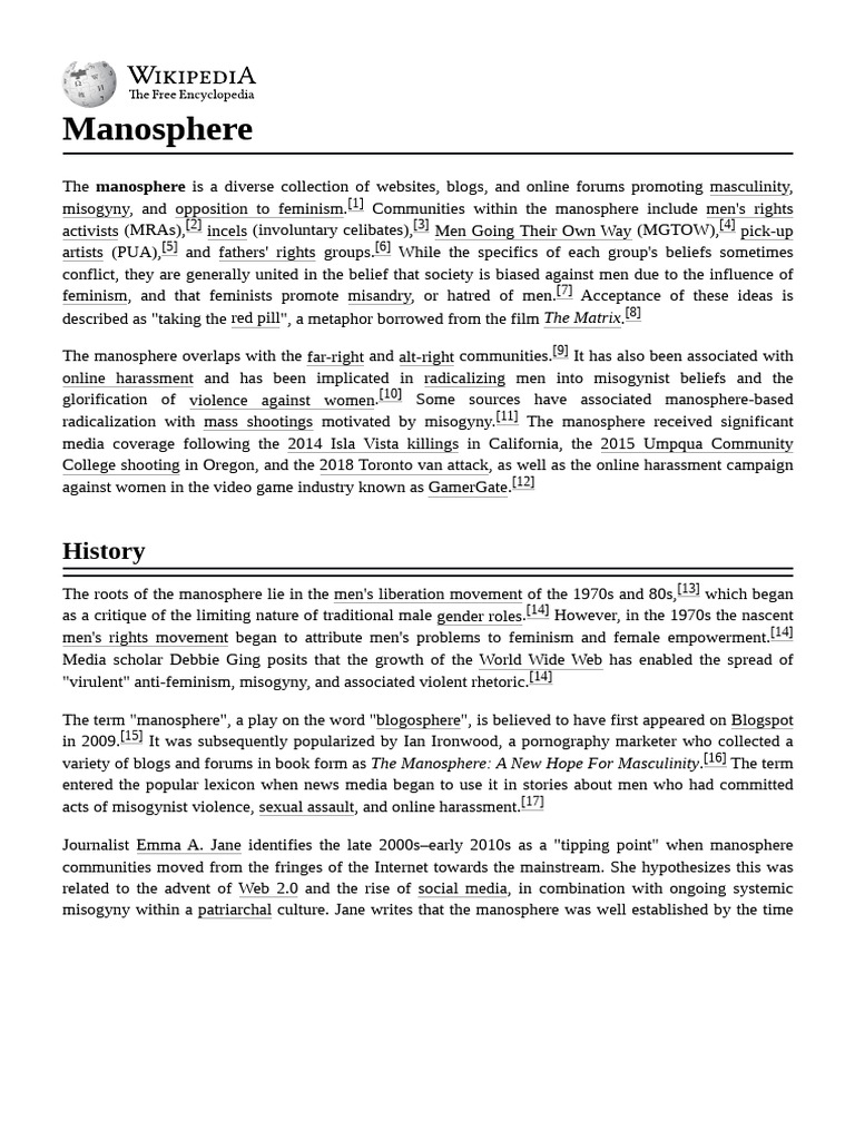 Understanding the Manosphere Dynamics | PDF | Prejudice And ...
