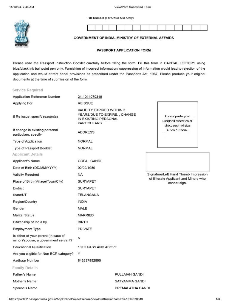View - Print Submitted Form | PDF | Passport | Justice