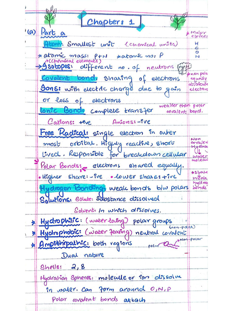 Physiology ch1 Basic Concepts | PDF