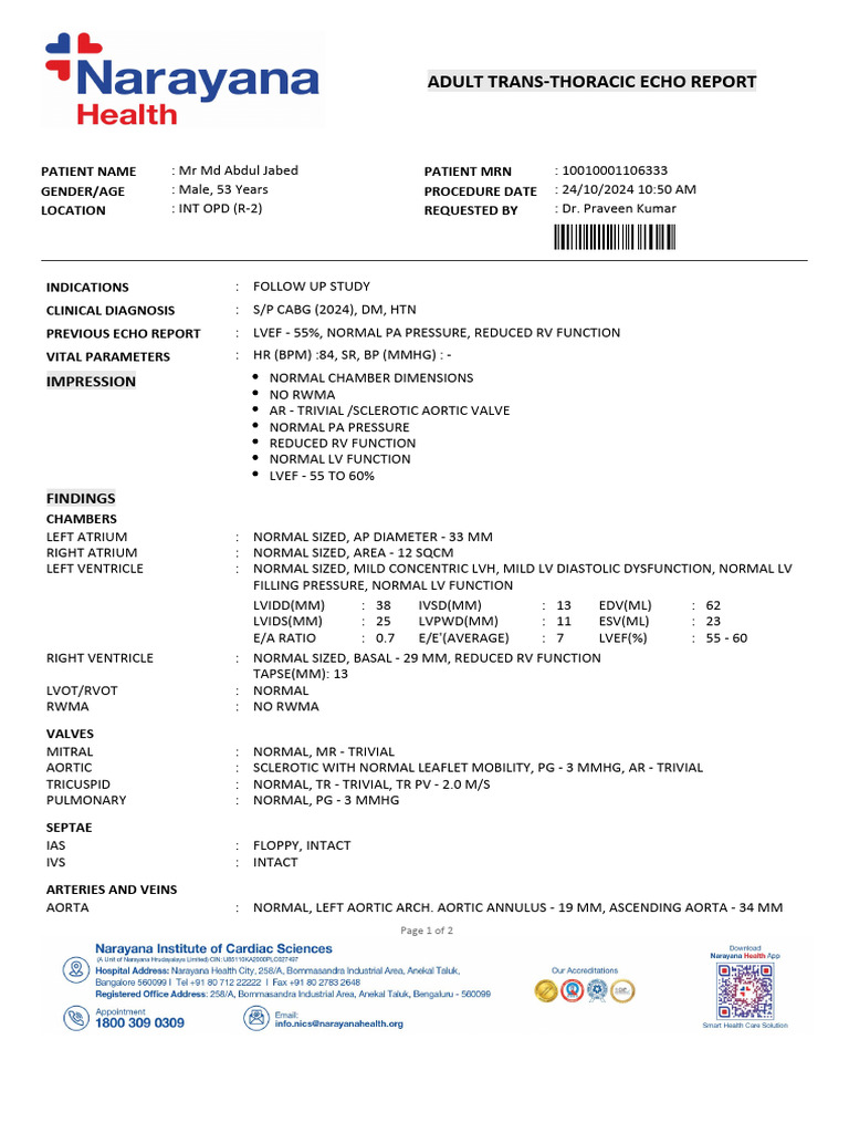 Cache - Adult Echocardiography Report - 1729747524037 | PDF | Ventricle ...