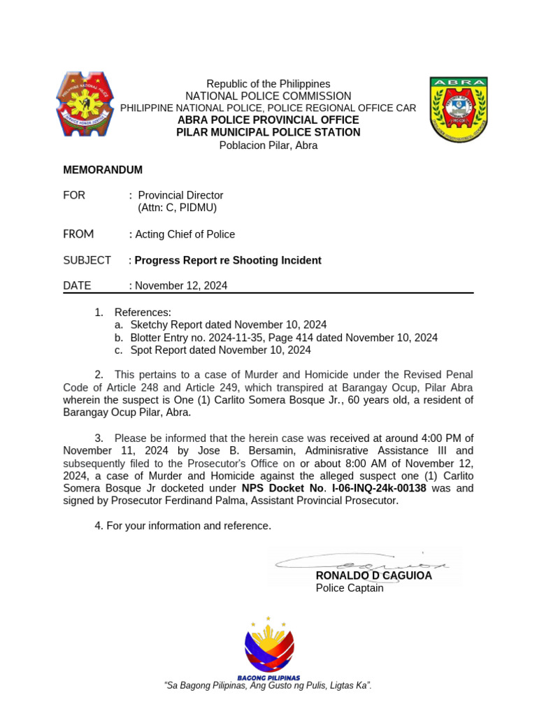 Progress Report on Pilar Shooting Incident | PDF