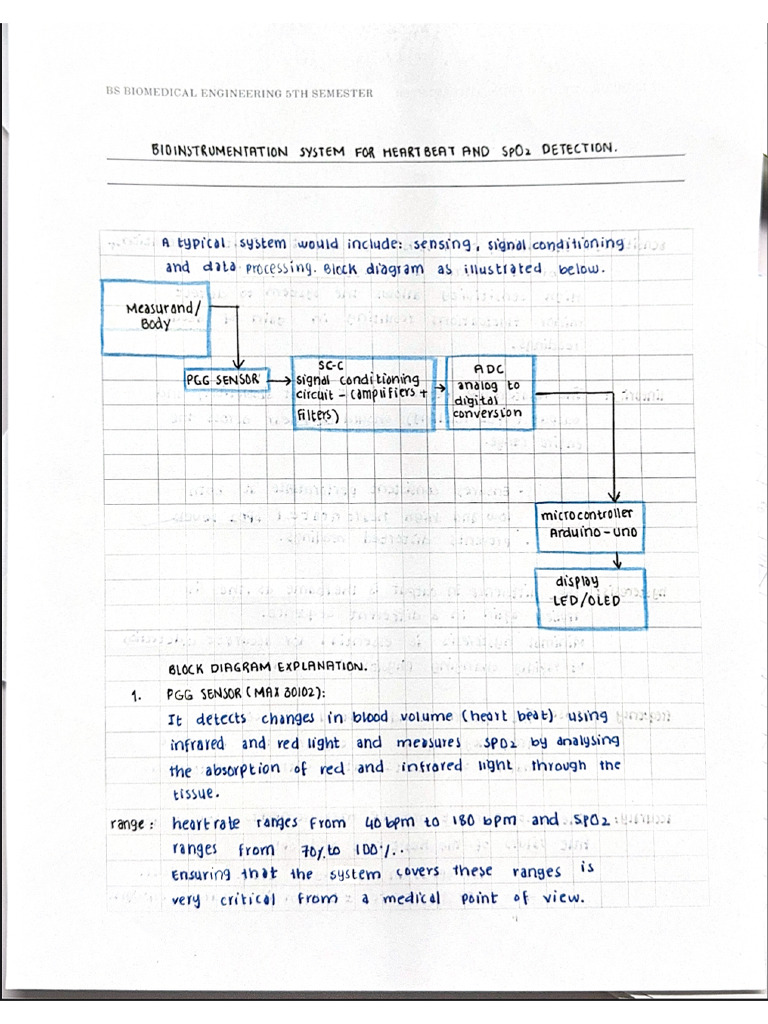 Bmi Assignment 1 | PDF