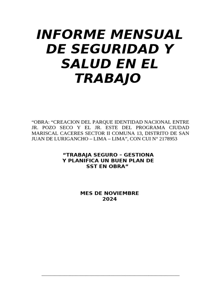 Informe Mensual de SST - Noviembre 2024 | PDF | Lima | Seguridad y ...