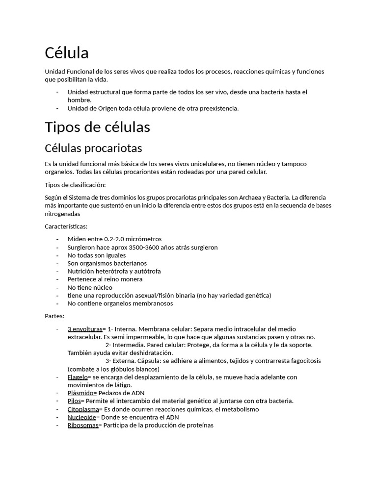 Partes y Tipos de Células | PDF | Biología Celular) | Citoplasma