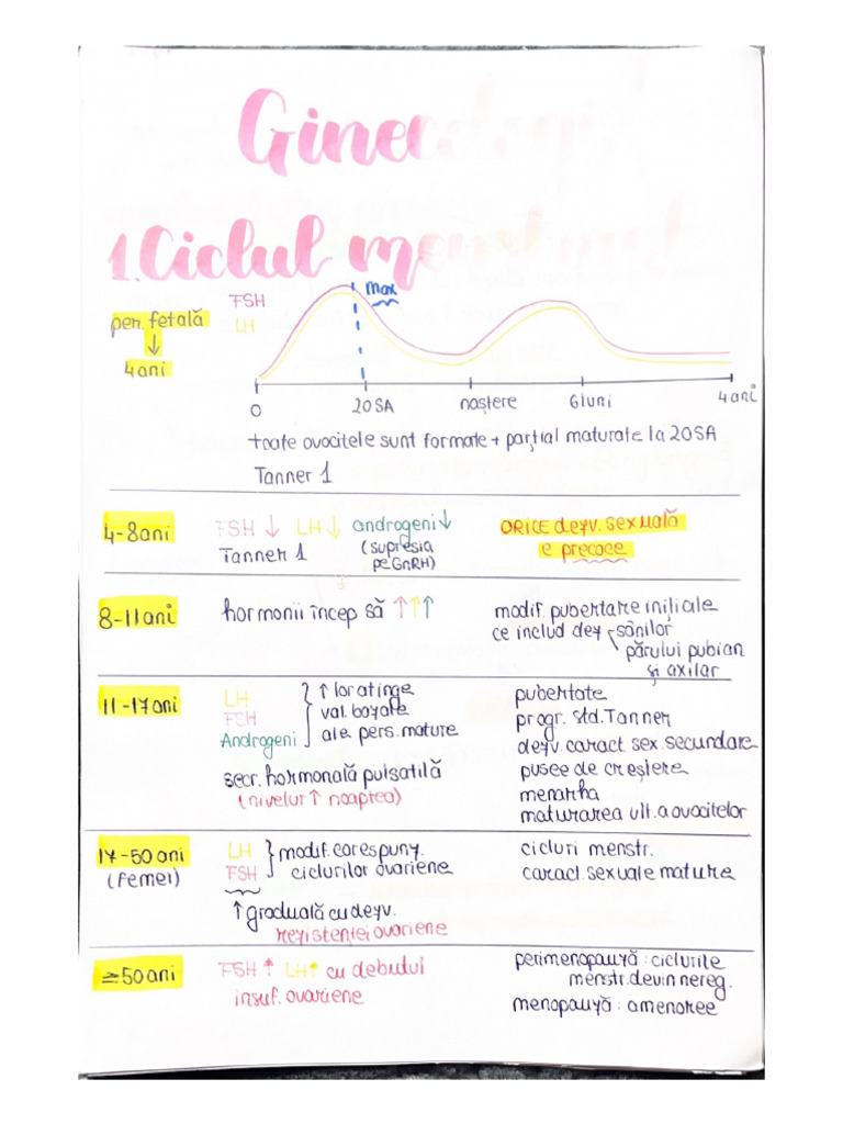 Gine & Obs | PDF