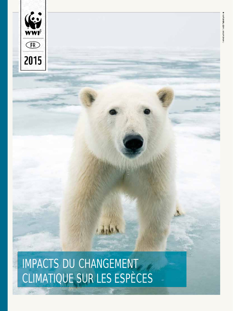 Impacts du changement climatique sur la biodiversité | PDF | Ours blanc ...