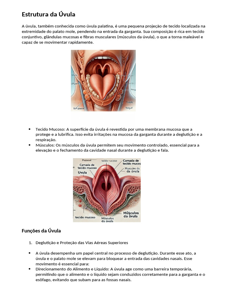 Estrutura Da Úvula - Com Imagens | PDF | Saliva | Digestão