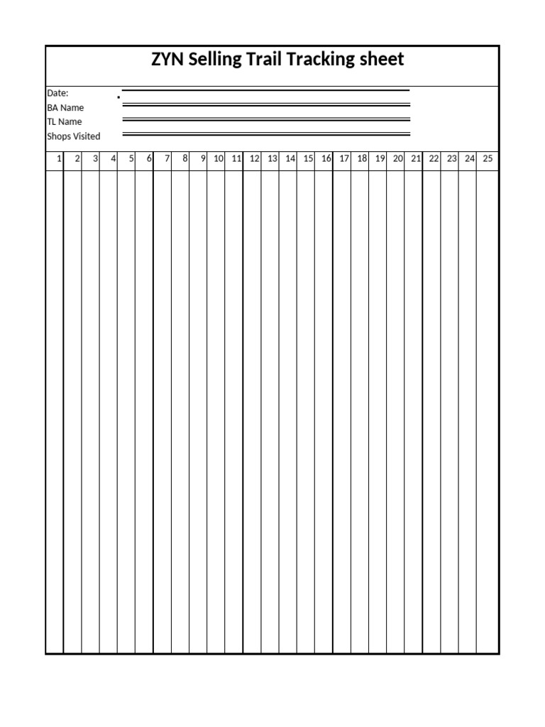 ZYN Sales Tracking Sheet | PDF