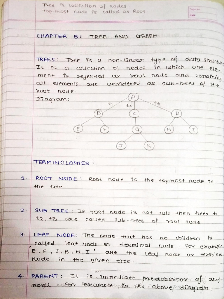 Trees and Graphs | PDF