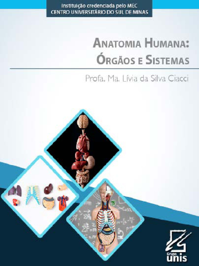 Anatomia Humana - Órgão e sistemas | PDF | Estômago | Trato ...