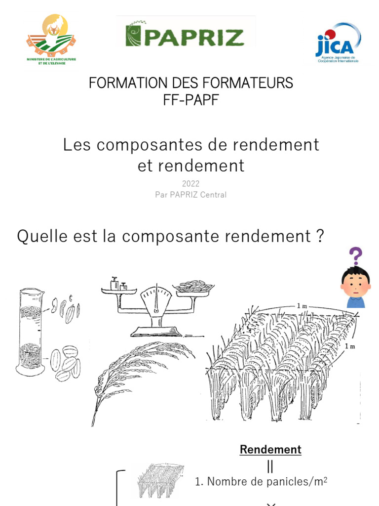 Composantes de rendement agricole détaillées | PDF