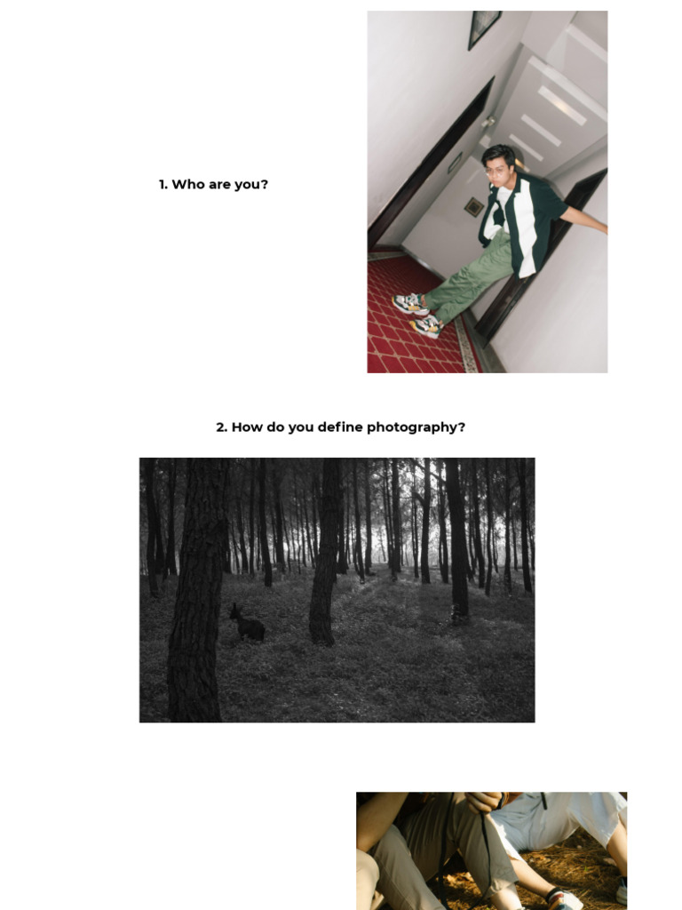 21 Photography Questions | PDF