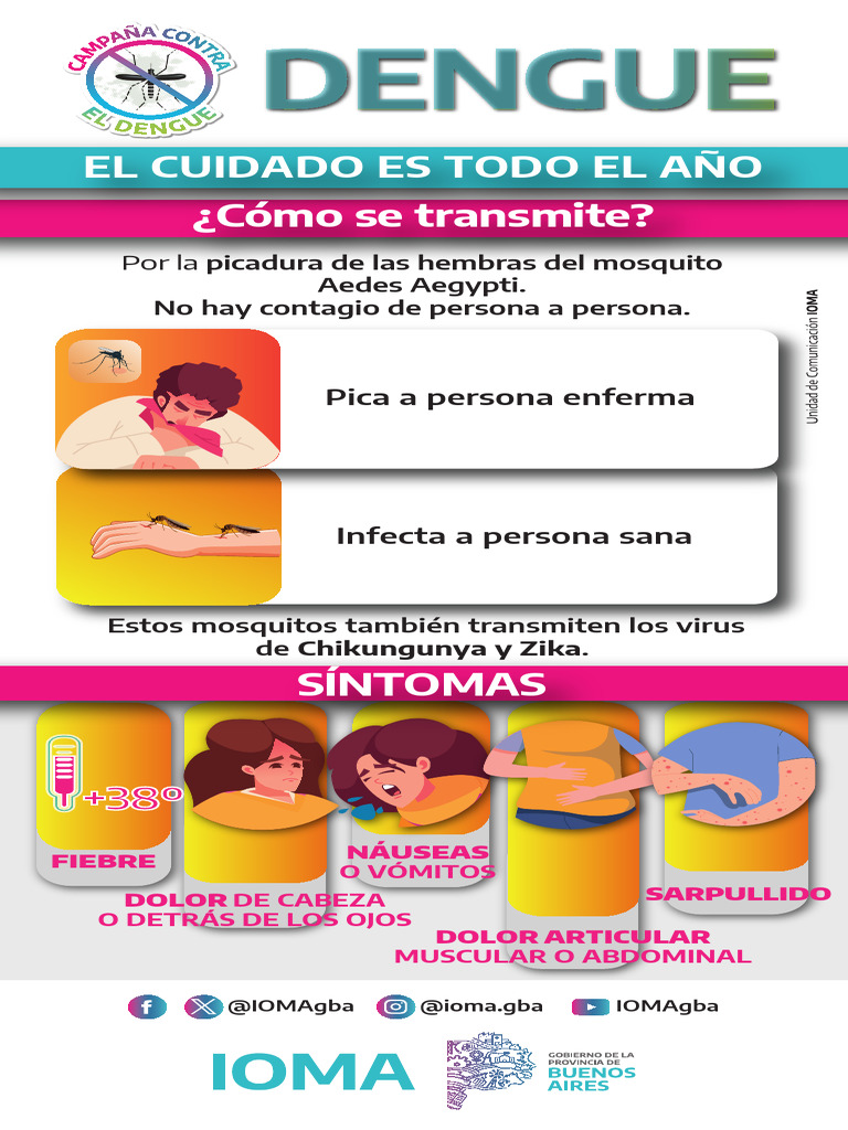 FLYER - Como Se Transmite El Dengue - CMYK | PDF