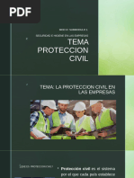 Dictamen de Protección Civil 2024 | PDF | Defensa Civil