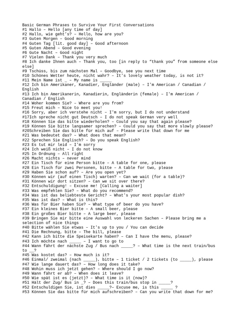 Basic German Phrases To Survive Your First Conversations | PDF