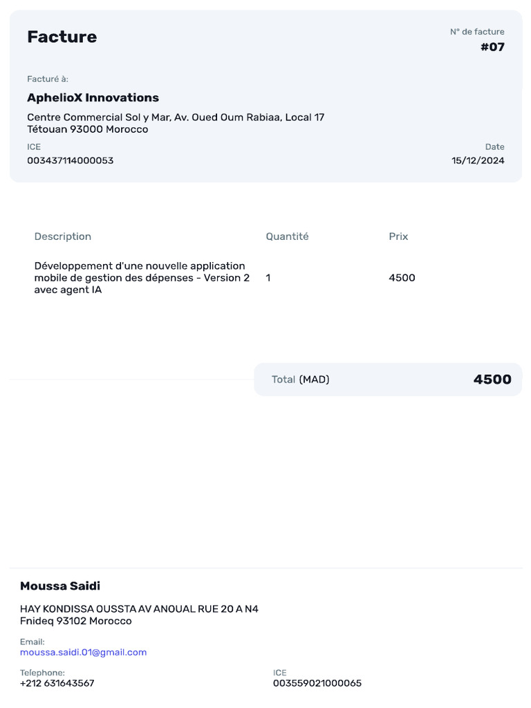Invoice 07 | PDF