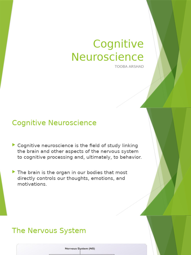 3 Cognitive Neuroscience 20022023 022932pm | PDF | Synapse | Neuron