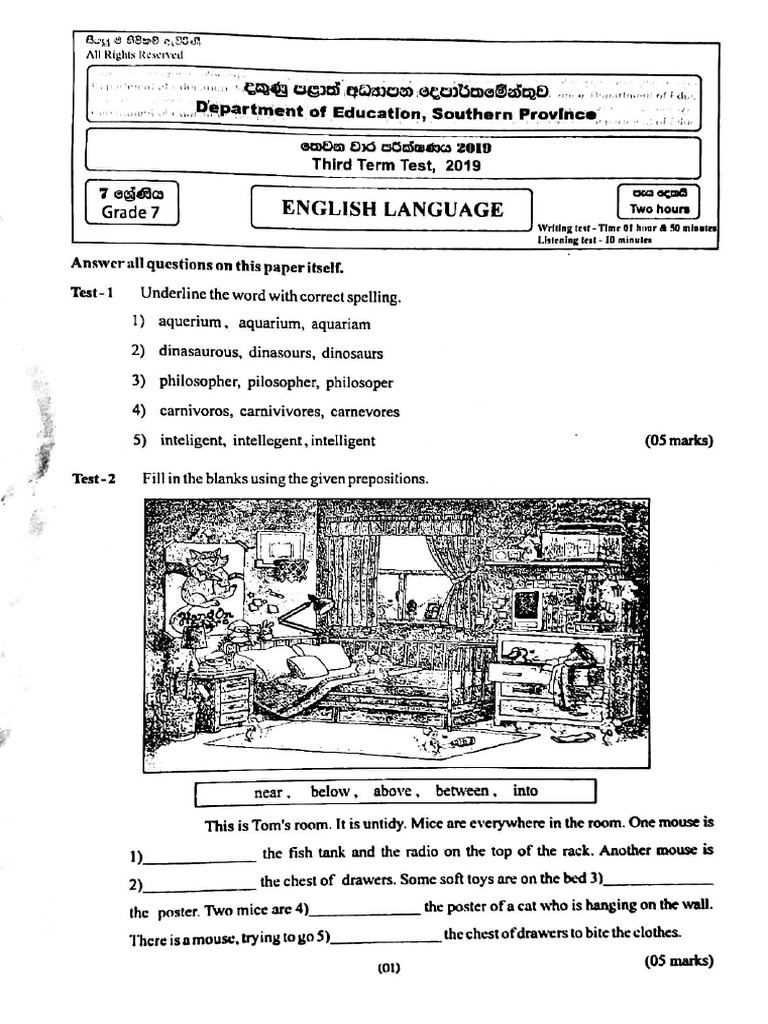 English - Grade 7 - Third Term Test 2019 - Southern Province | PDF