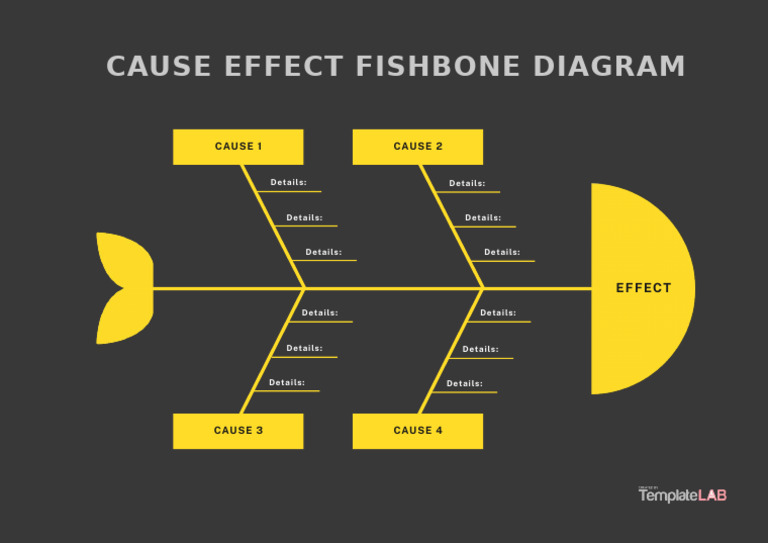 Fishbone visual data 4