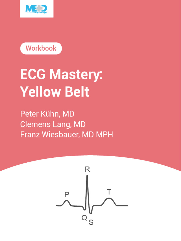 Course Workbook | PDF | Electrocardiography | Visual Cortex
