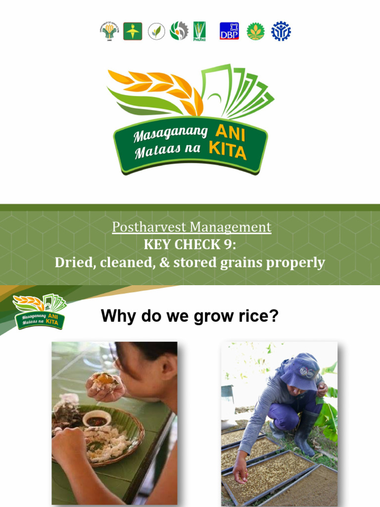 18 KeyCheck 9.Pptx | PDF | Rice | Clothes Dryer