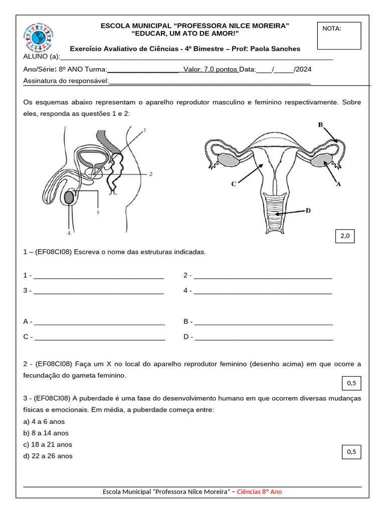 Exercícios sobre Reprodução Humana 8º Ano | PDF | Sistema reprodutivo ...