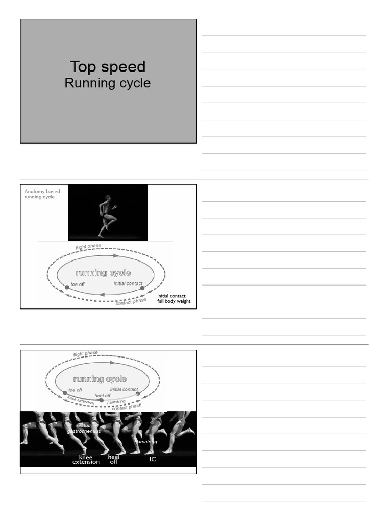 Top Speed Running Cycle Analysis | PDF | Anatomical Terms Of Motion ...
