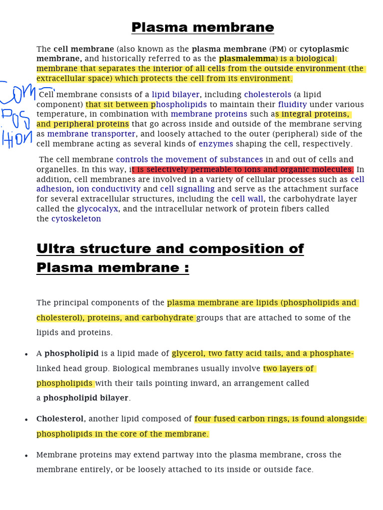 Plasma Membrane Pdf Cell Membrane Lipid Bilayer