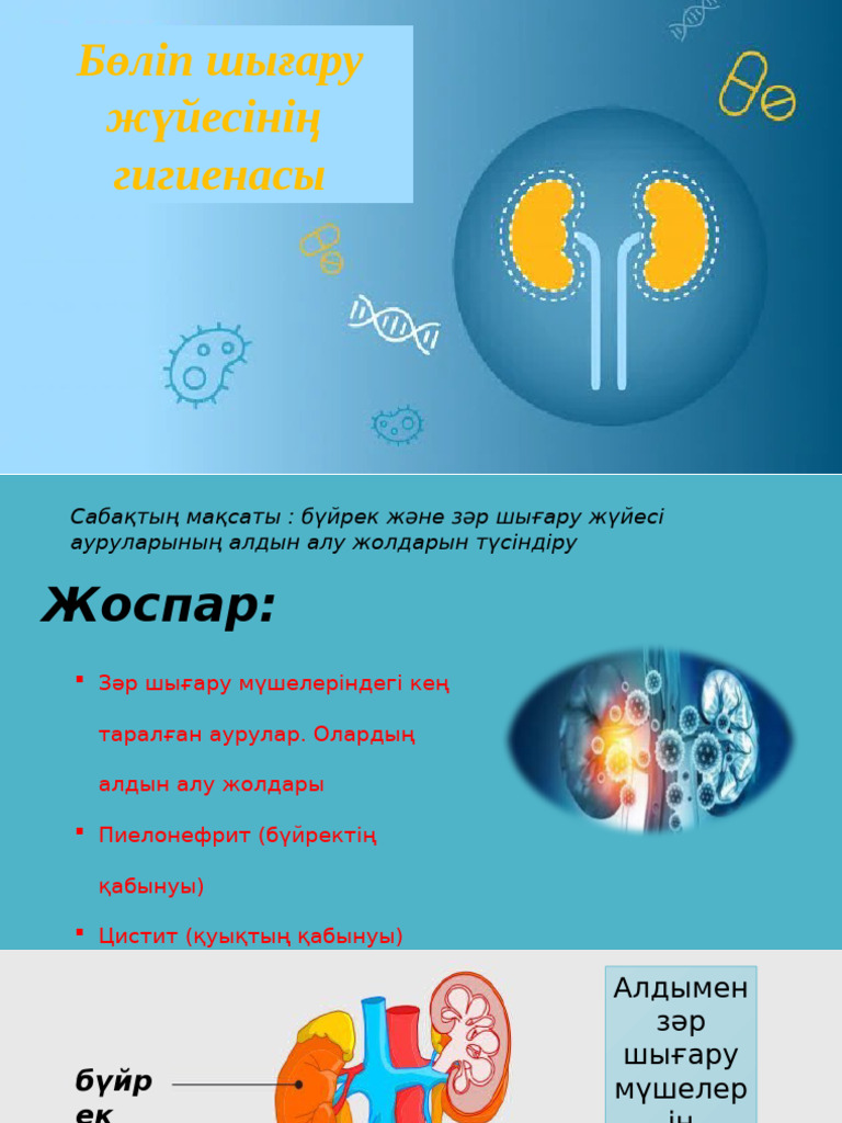 Жалаңаш Анастасия Кисегач