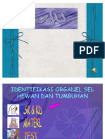 Organel Sel Tumbuhan Dan Hewan1